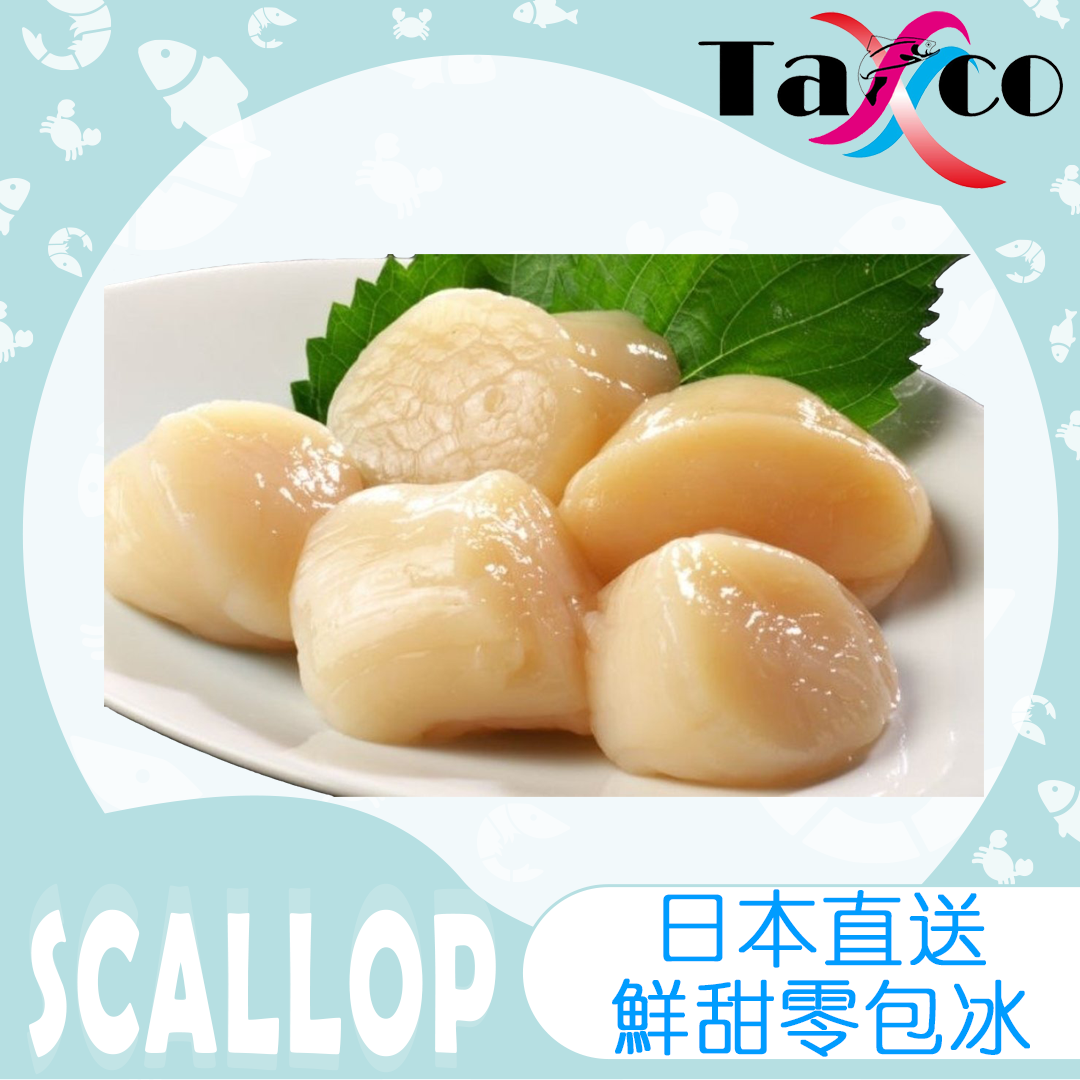 日本剌身帶子 M (1公斤26-30隻)